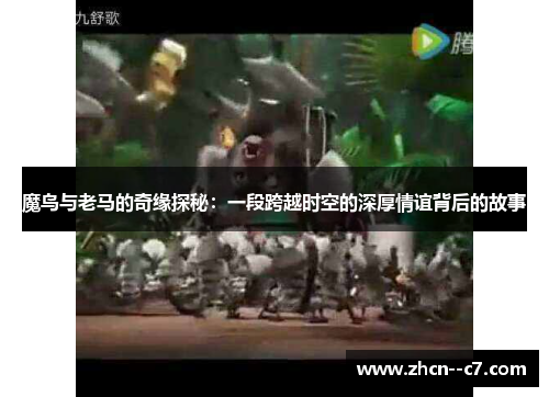 魔鸟与老马的奇缘探秘：一段跨越时空的深厚情谊背后的故事